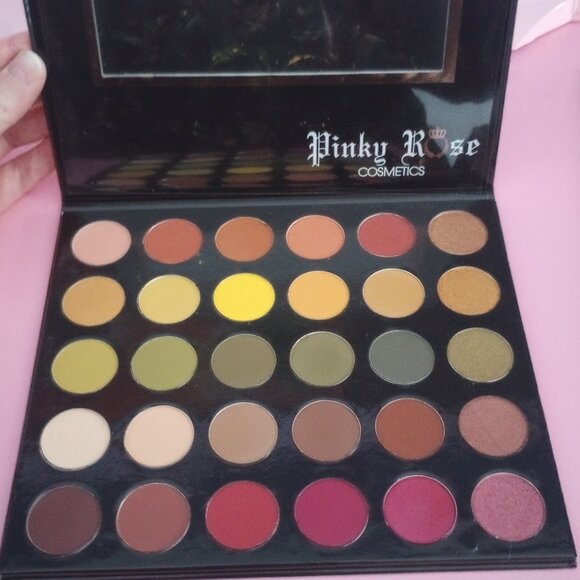 NEW Pinky Rose Cosmetics RUNWAY Palette - Picture 1 of 6